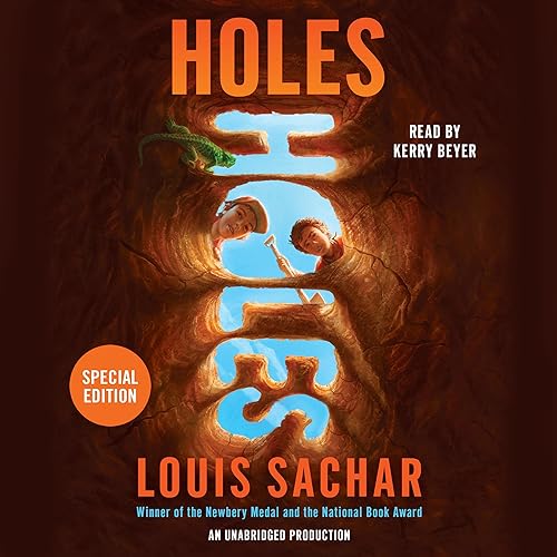 Cover of Holes