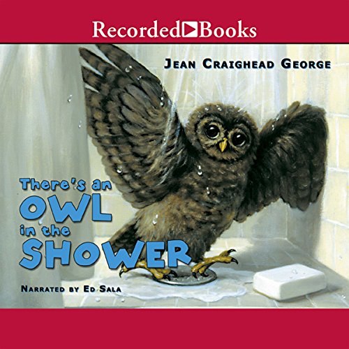 Cover of There's an Owl in the Shower