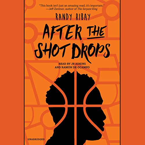Cover of After the Shot Drops