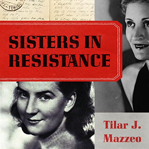 Cover of Sisters in Resistance