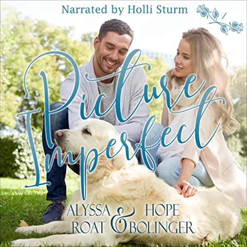Cover of Picture Imperfect