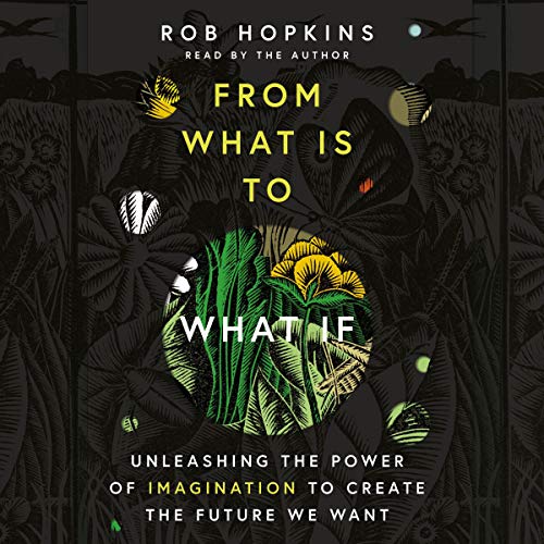 Cover of From What Is to What If