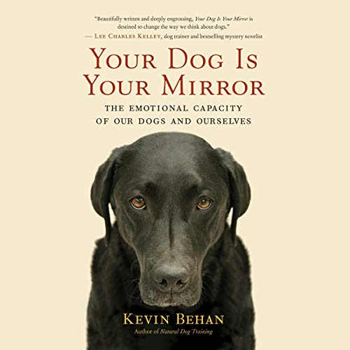Cover of Your Dog Is Your Mirror