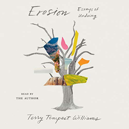 Cover of Erosion