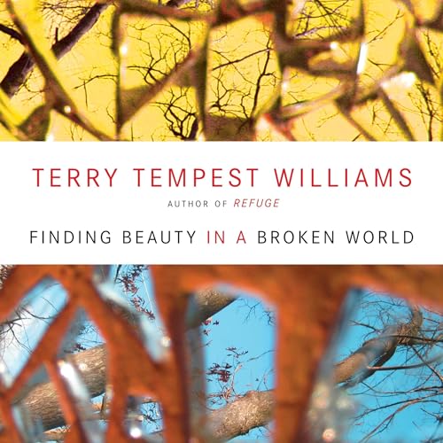 Cover of Finding Beauty in a Broken World