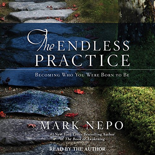 Cover of The Endless Practice