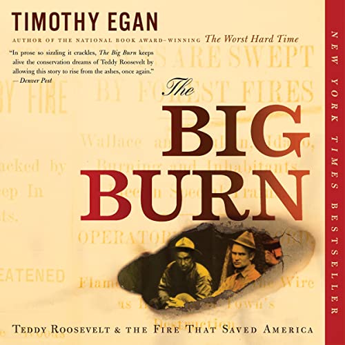 Cover of The Big Burn