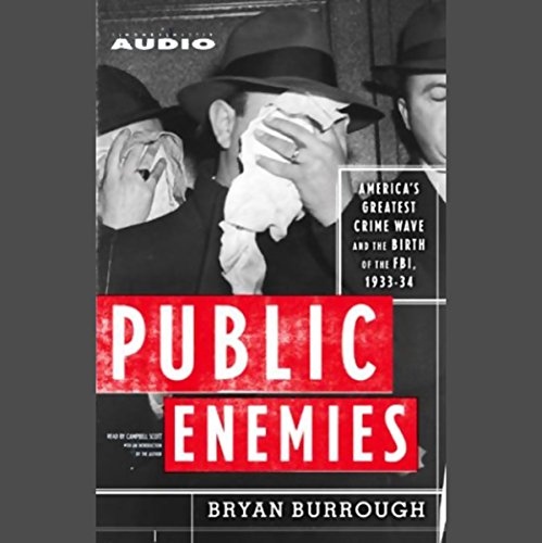 Cover of Public Enemies