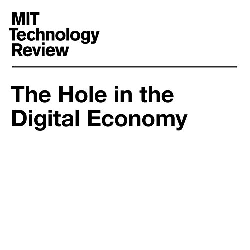 Cover of The Hole in the Digital Economy
