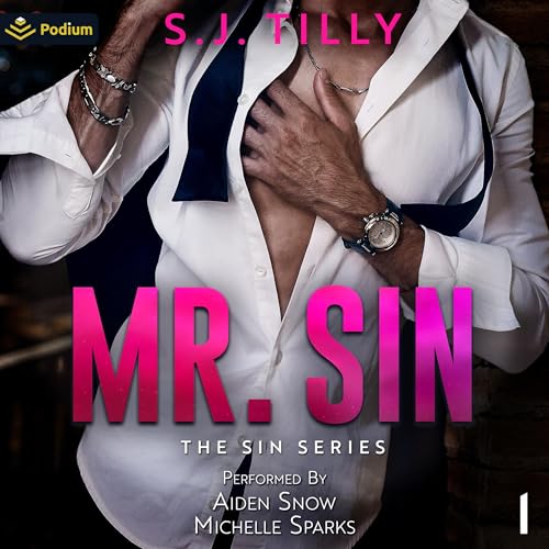 Cover of Mr. Sin
