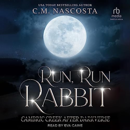 Cover of Run, Run Rabbit