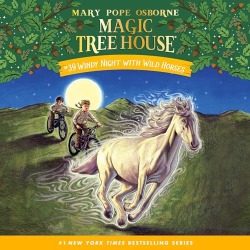 Cover of Windy Night with Wild Horses