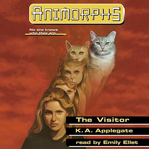 Cover of The Visitor