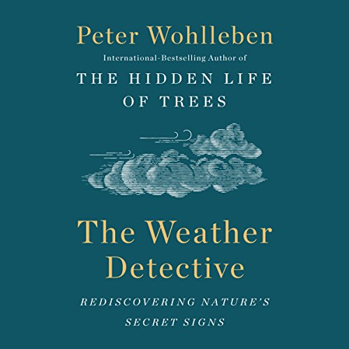 Cover of The Weather Detective