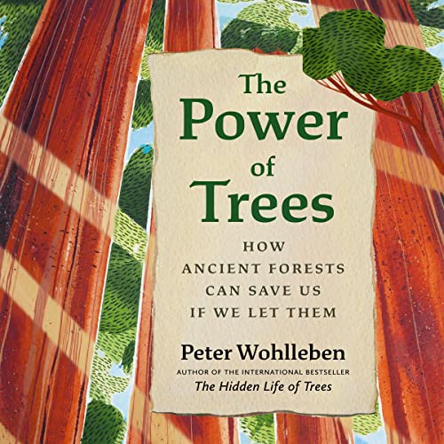 Cover of The Power of Trees