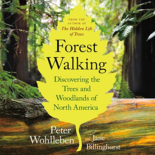 Cover of Forest Walking