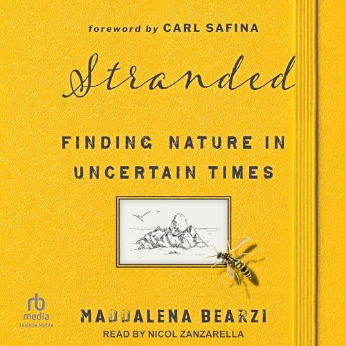 Cover of Stranded