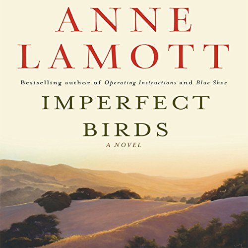 Cover of Imperfect Birds