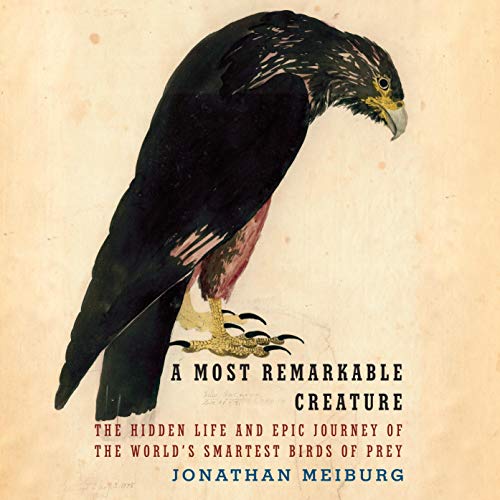 Cover of A Most Remarkable Creature