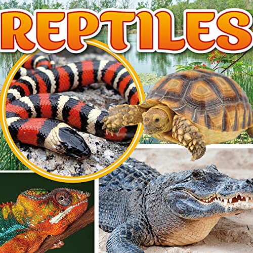 Cover of Reptiles
