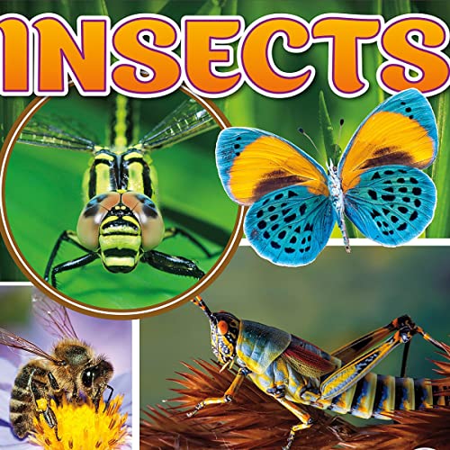 Cover of Insects