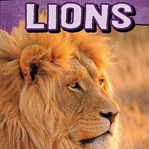 Cover of Lions