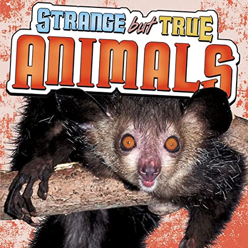Cover of Strange but True Animals