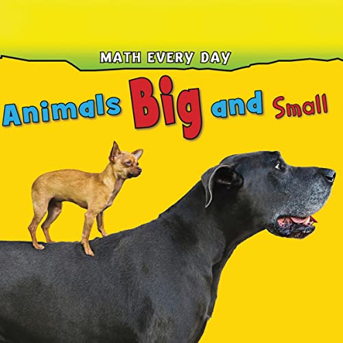 Cover of Animals Big and Small