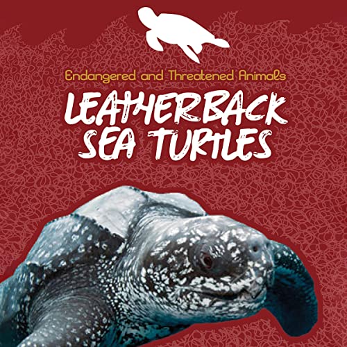 Cover of Leatherback Sea Turtles