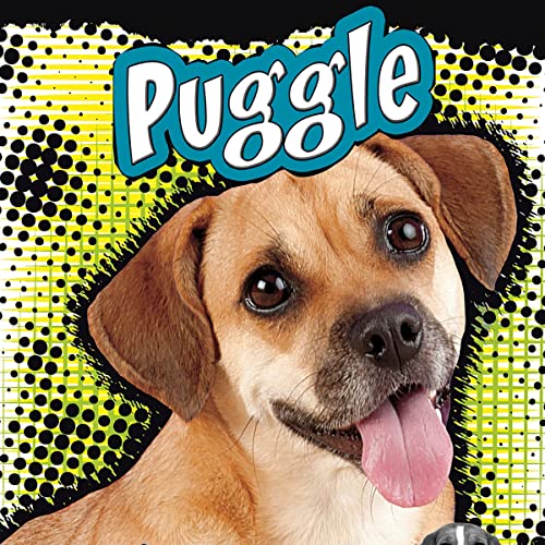 Cover of Puggle
