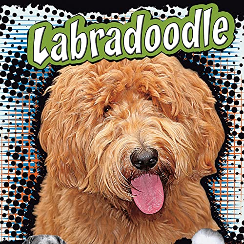 Cover of Labradoodle