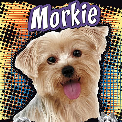 Cover of Morkie