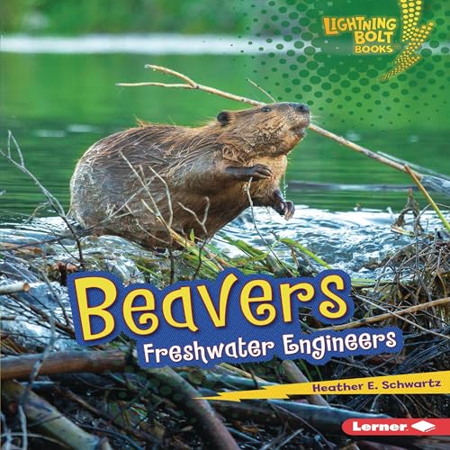 Cover of Beavers