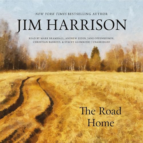Cover of The Road Home