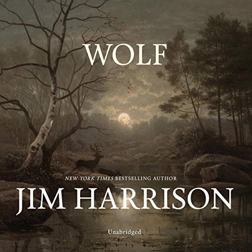 Cover of Wolf