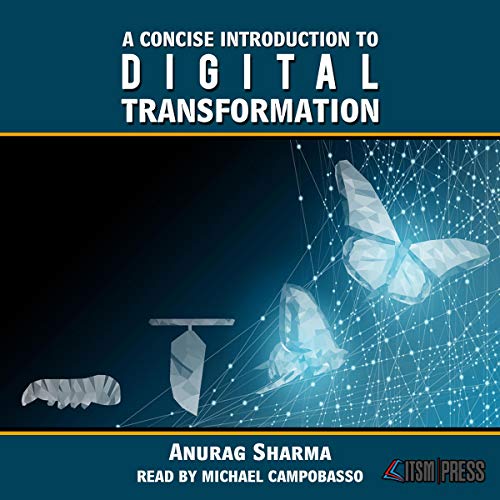 Cover of A Concise Introduction to Digital Transformation
