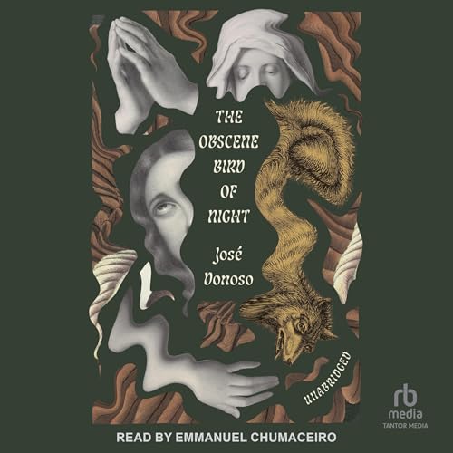 Cover of The Obscene Bird of Night