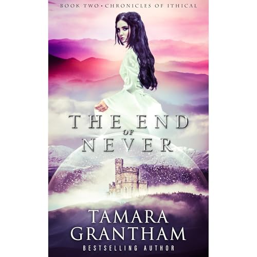 Cover of The End of Never