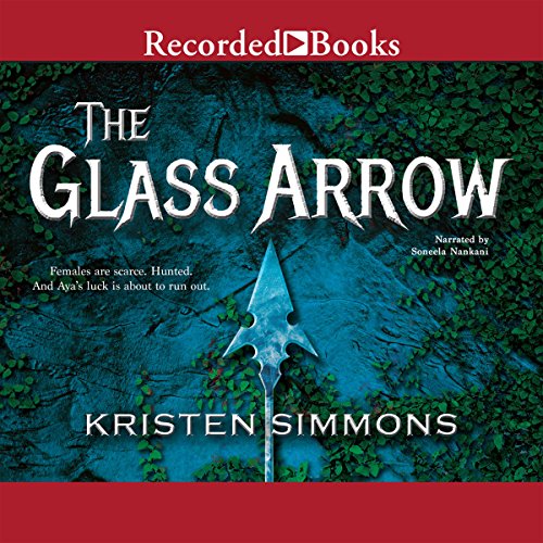 Cover of The Glass Arrow