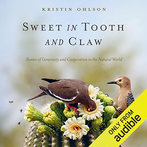 Cover of Sweet in Tooth and Claw