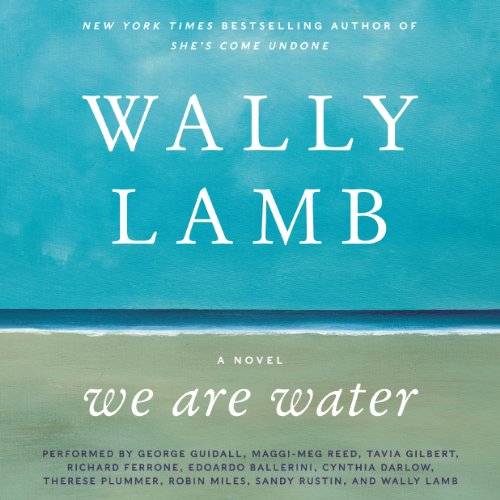 Cover of We Are Water