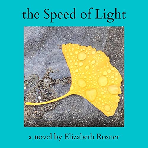 Cover of The Speed of Light