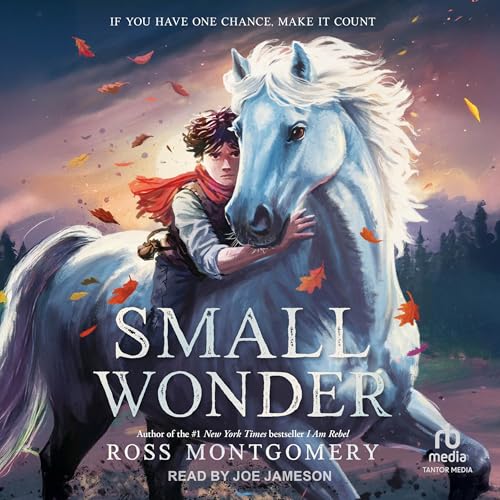 Cover of Small Wonder