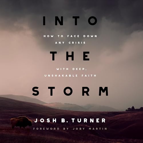 Cover of Into the Storm