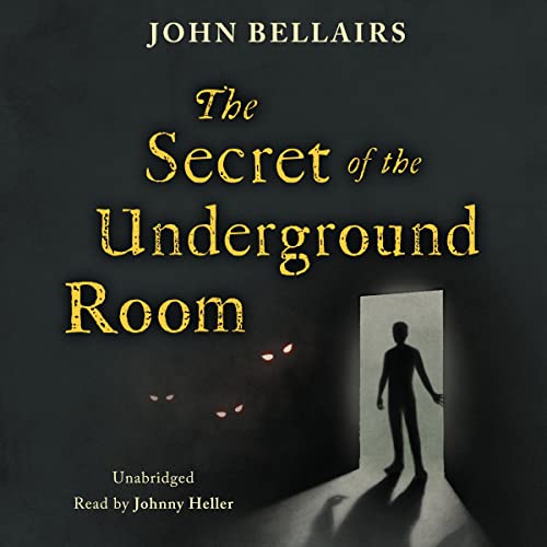Cover of The Secret of the Underground Room