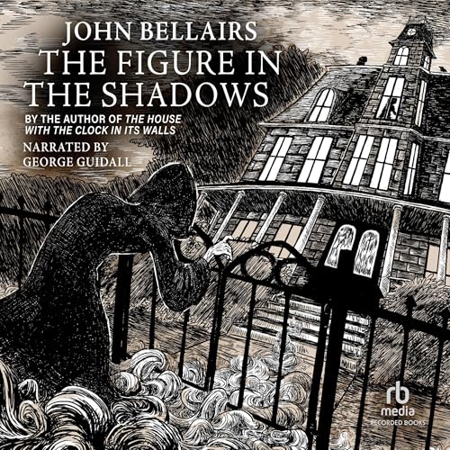 Cover of The Figure in the Shadows