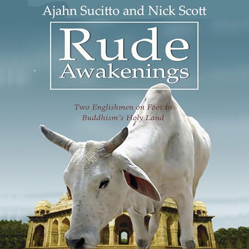 Cover of Rude Awakenings