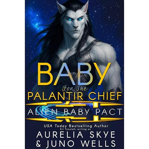 Cover of Baby For The Palantir Chief