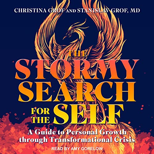 Cover of The Stormy Search for the Self
