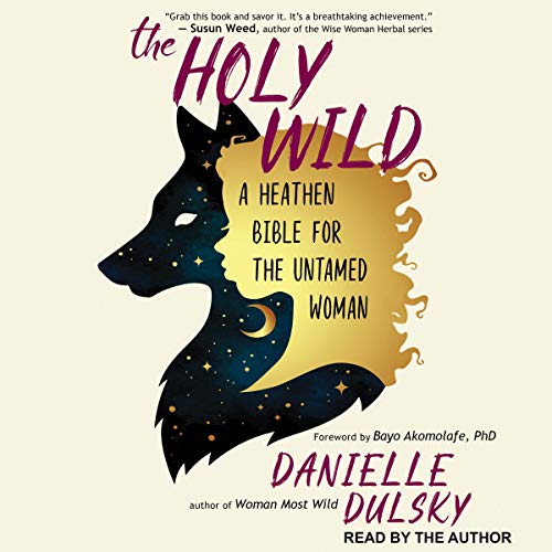 Cover of The Holy Wild